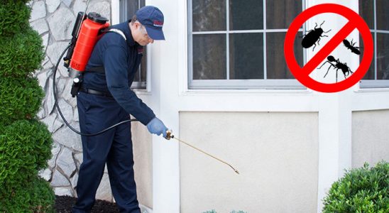 Karacabey Akrep İlaçlama böcek ilaçlama ve haşere kontrolü — ilaclama-tr.com